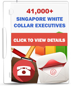 42,000+ SG White Collar Executives Database